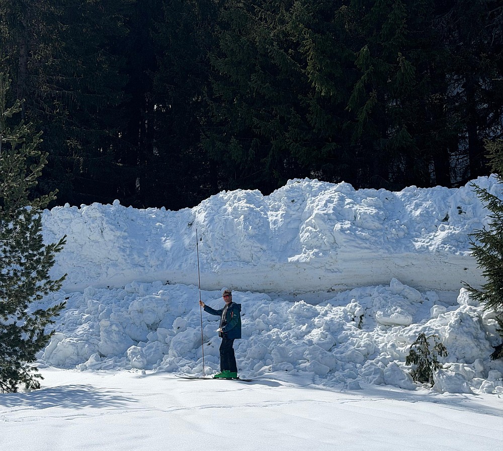 aval_cycle_03_04_26_Deposit_1_Forest_avalanches